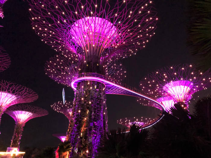 Gardeny_By_the_Bay_Lightshow_Singapore-1
