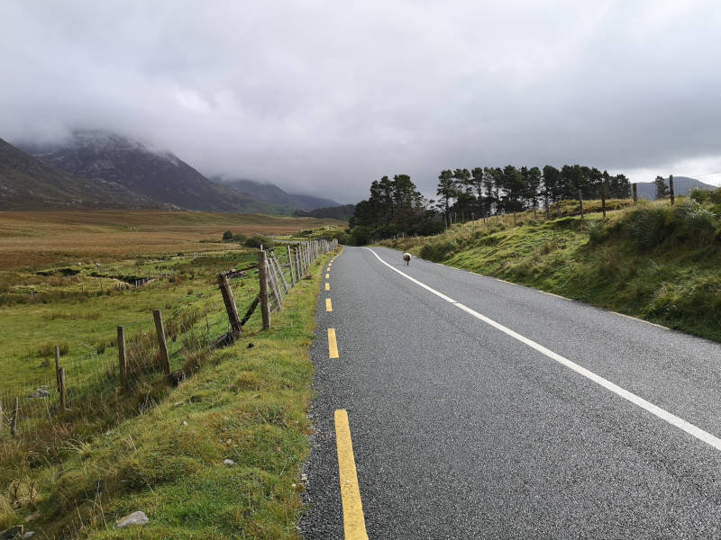 Irland_Connemara